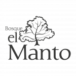 Logo BEM girs